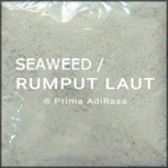 rumput laut seaweed
